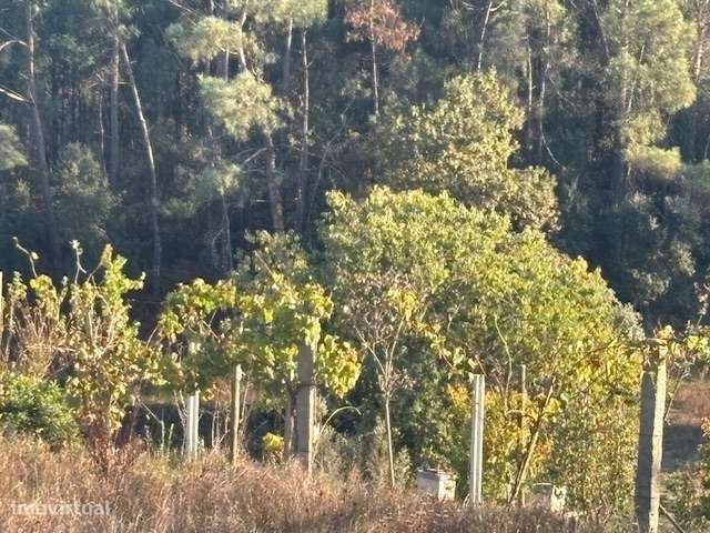 VENDE-SE TERRENO COM 2100 M2-13