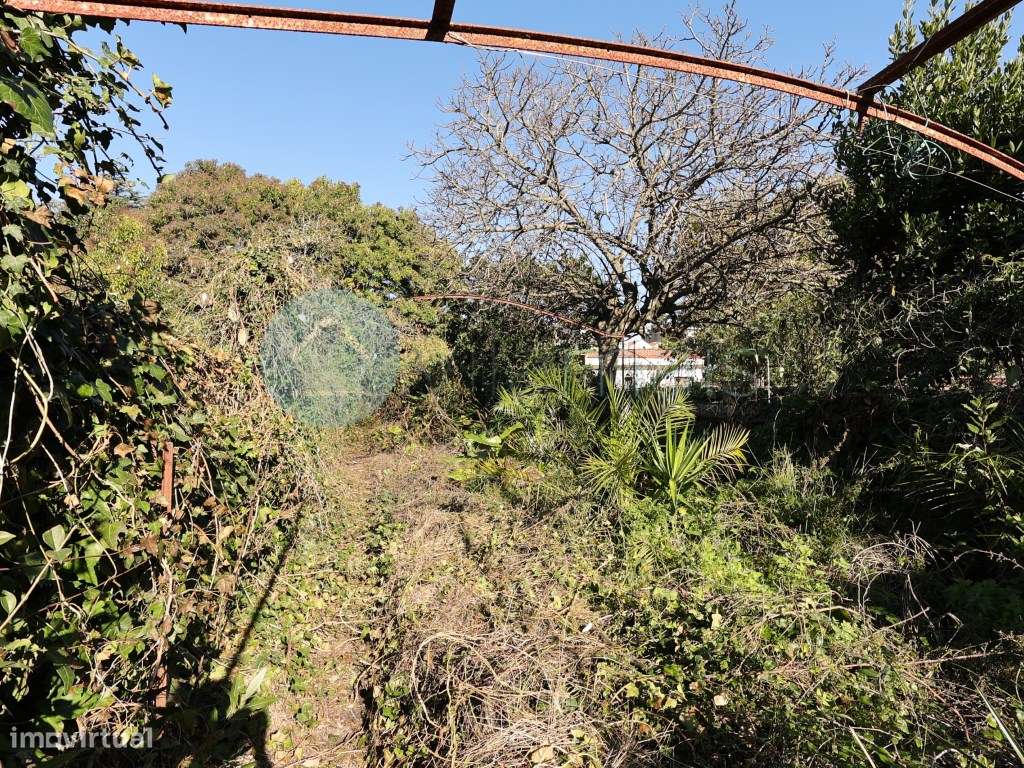 Moradia para reconstrução situada numa zona privilegiada do Porto-12