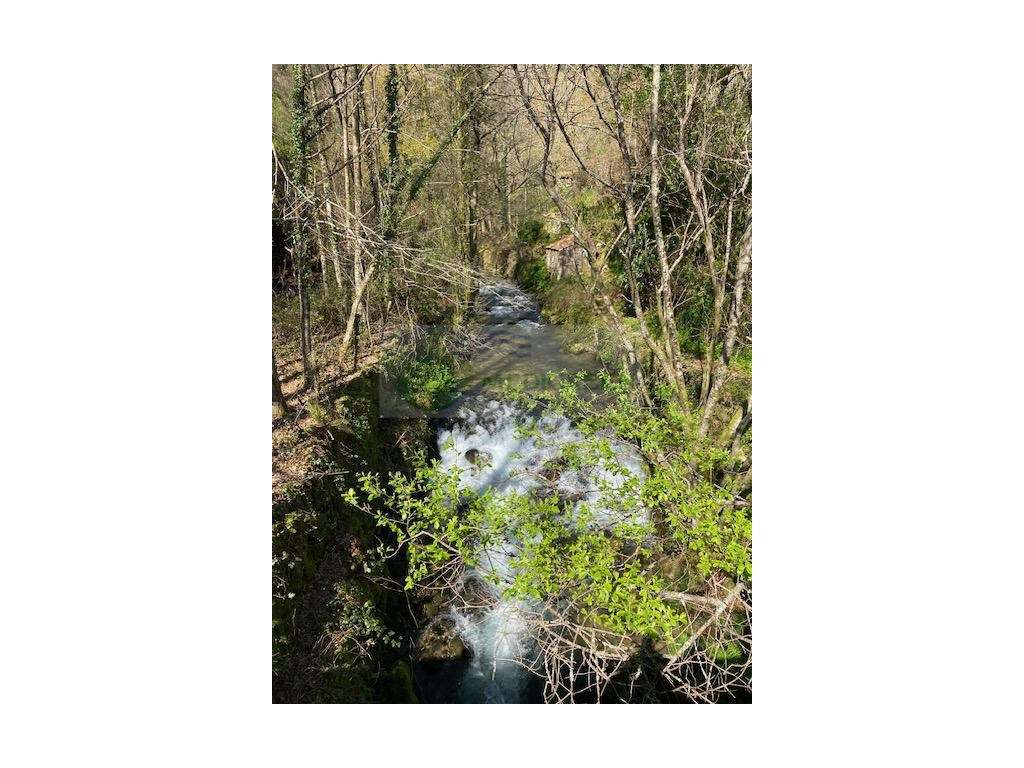 TERRENO NA MARGEM DO RIO - Grande imagem: 5/14