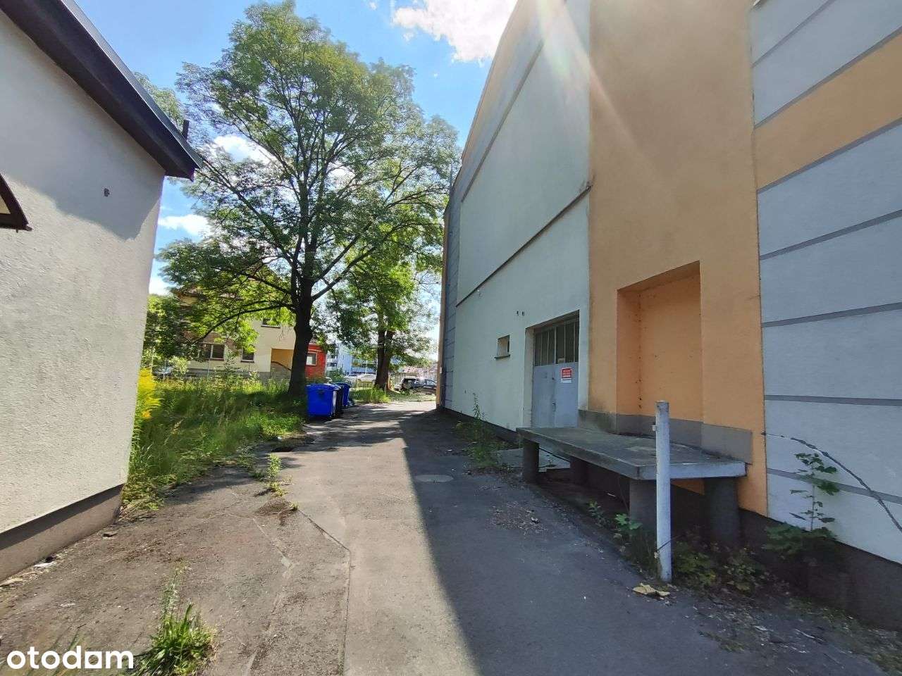 Sprzedaż Nieruchomości - Jelenia Góra-8