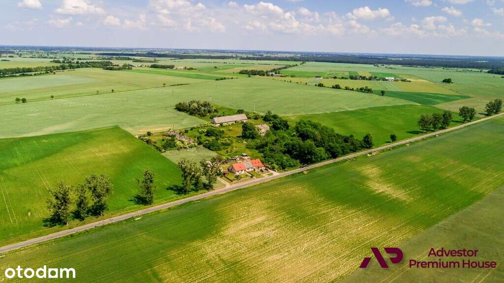 Stary dworek z zabudowaniami i parkiem - 3,37ha - Pełny obrazek: 4/20