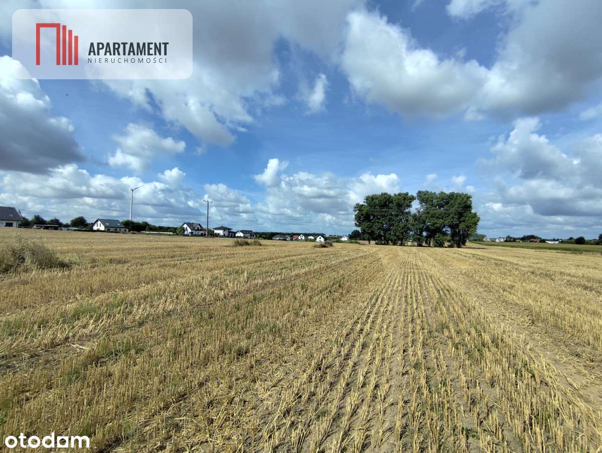 Działka z warunkami zabudowy, blisko Więcborka! - Pełny obrazek: 4/12