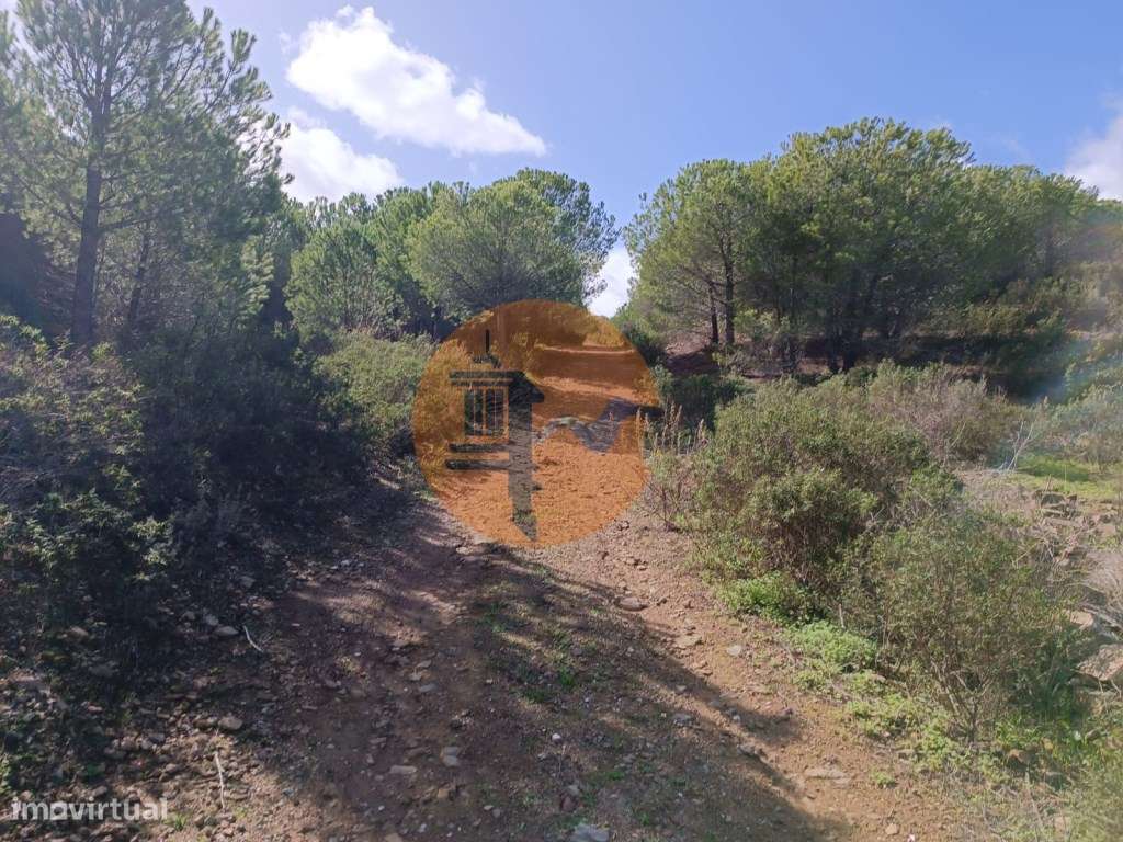 TERRENO RÚSTICO COM 13.120 M2 - TORNEIRO - ALCOUTIM - ALGARVE - Grande imagem: 2/22