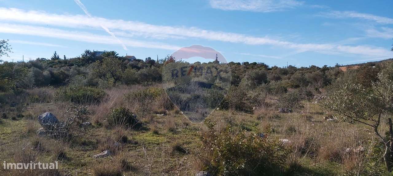 Terreno  para venda - Grande imagem: 4/6