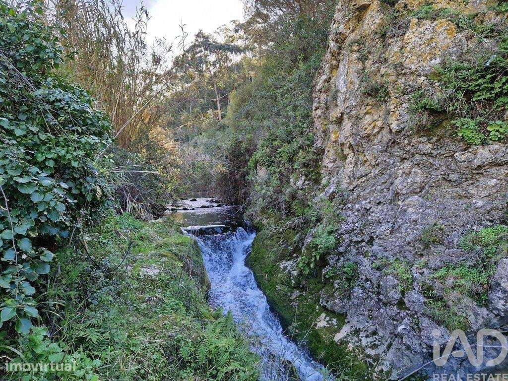 Comércio diverso em Porto de Mós - São João Baptista e São Pedro de 10 - Grande imagem: 3/19