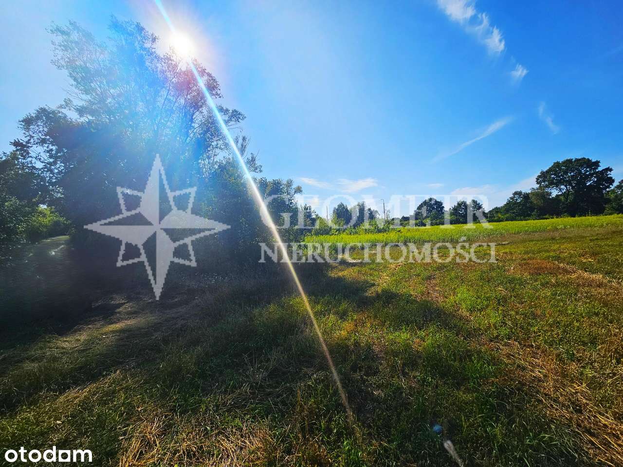 3181 m²  - natura , cisza - Pełny obrazek: 3/4