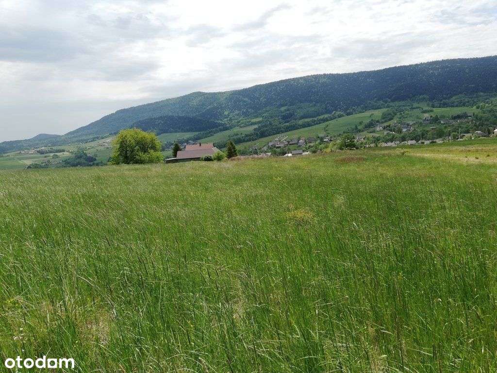 działka budowlana 79ar Ptaszkowa - Pełny obrazek: 4/10