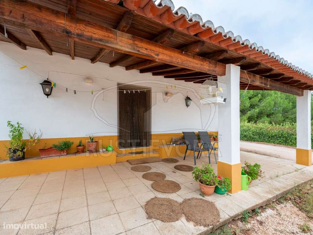 Quinta com 5,9 ha a 3 km de Borba - Tranquilidade, Privacidade e Po... - Grande imagem: 4/56