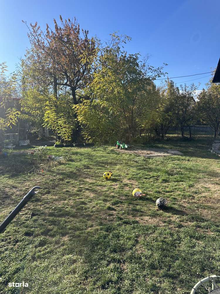 Campina - casă - teren 2506mp - 149900 Euro/Neg.-11