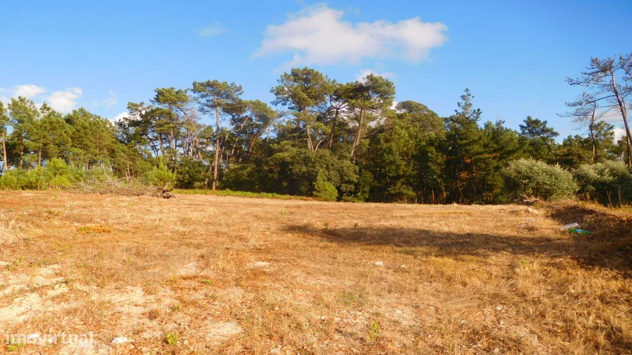 Terreno, Bajouca - Grande imagem: 5/14