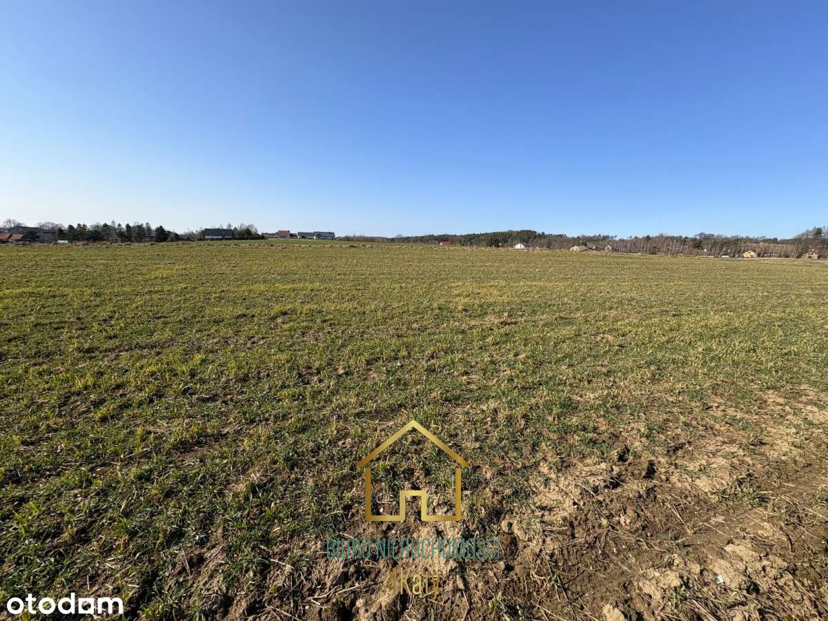 Promocja!!  Działki rolne z Mpzp 3121 m2 Perlino - Pełny obrazek: 4/15