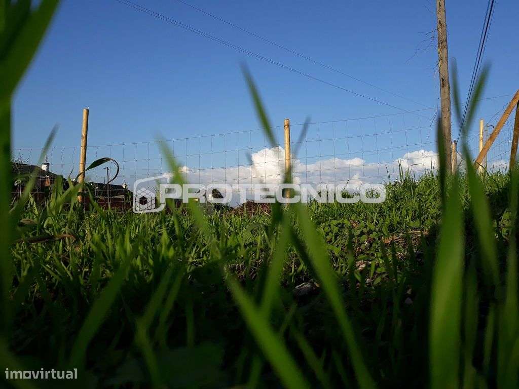 Terreno p/ construção de moradia isolada térrea - Sarrazola - Grande imagem: 2/5