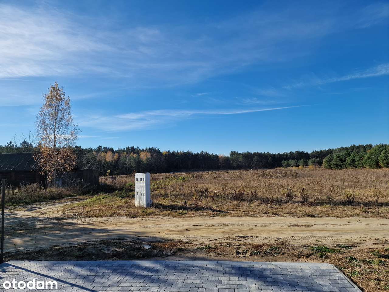 Nowoczesny Blizniak w Otulinie Lasu-10