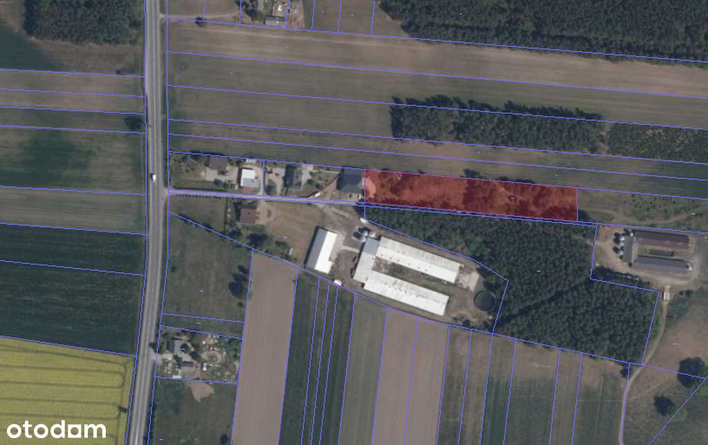 Działka rolna 0,57 ha / Strzegowo-Osada - Pełny obrazek: 4/8