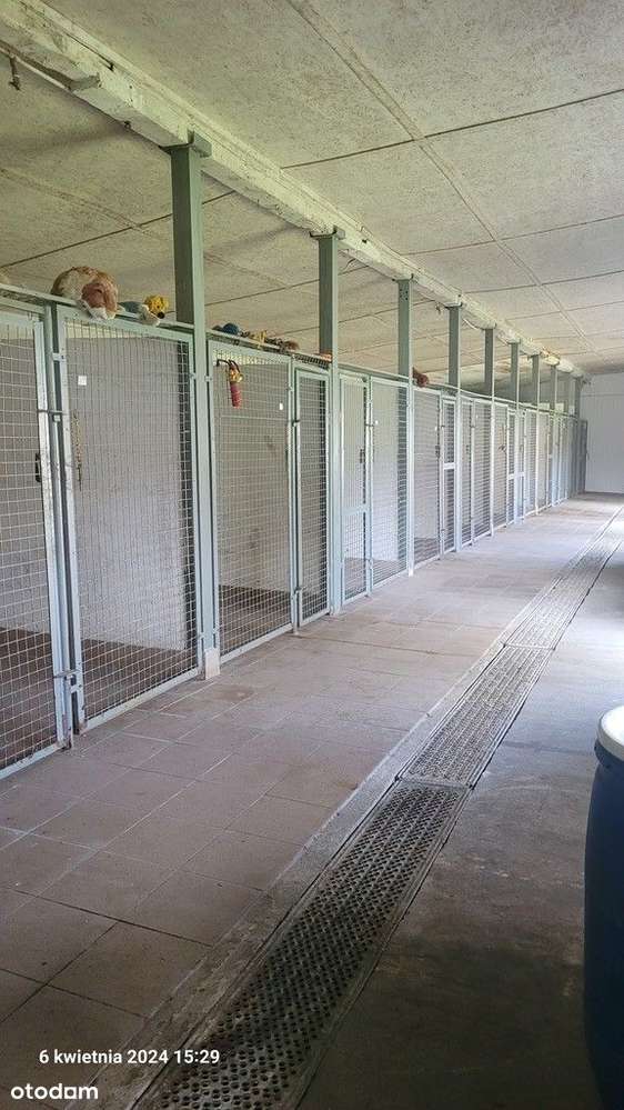 Dom, 106 m², Sierakowo-13