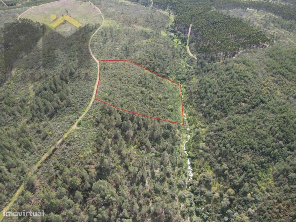 Terreno Rústico com 14.080 m² - Salgueiro do Campo - Grande imagem: 2/4