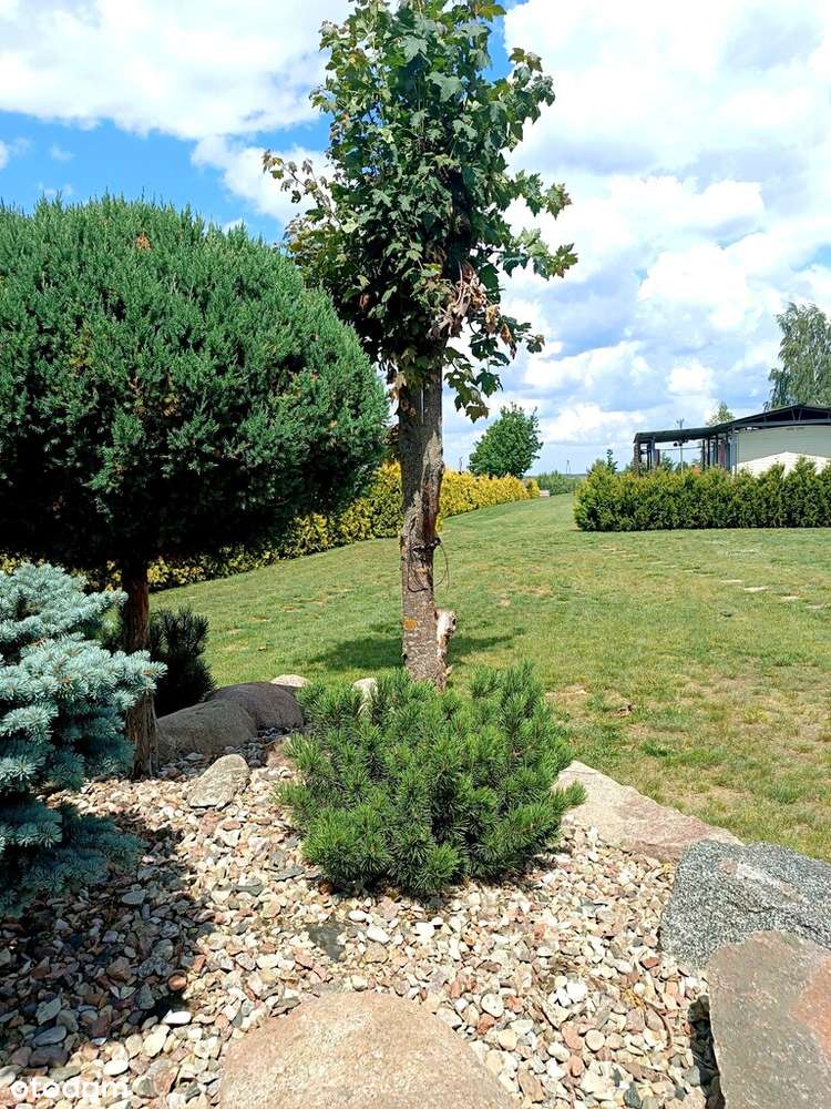 Przepiękna działka inwestycyjna w Siemianówce-5