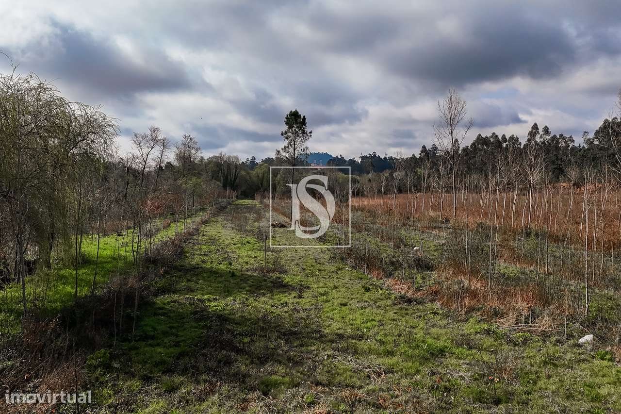 Terreno Rústico  Venda em Associação de freguesias do Vale do Neiva,Po-23