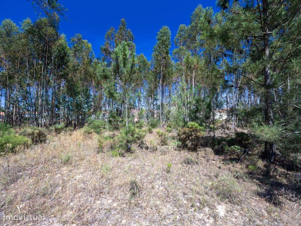 Terreno Venda Palmela-5