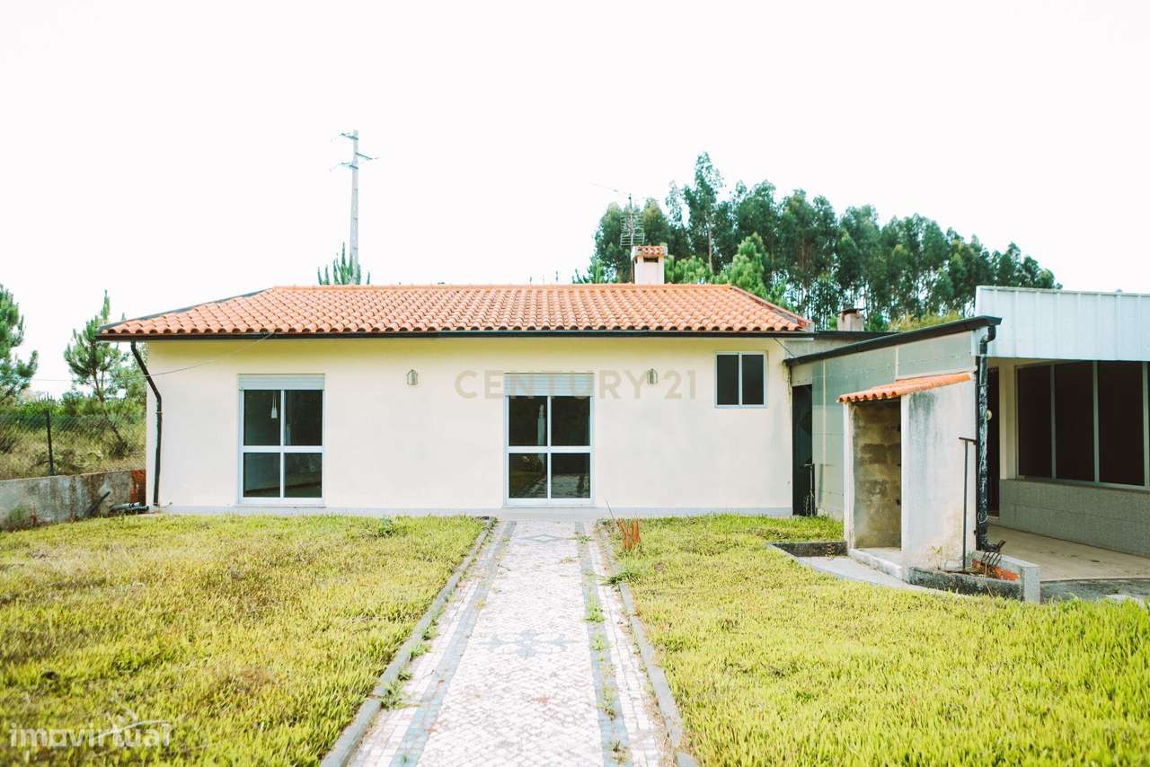 Casa T3 em Oliveira do Bairro - Oportunidade Imperdível! - Grande imagem: 3/20