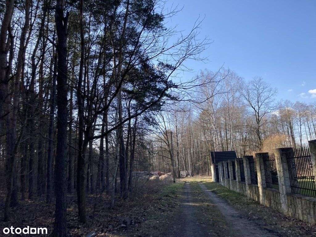 Pęclin, gm. Wiązowna, 3500 m2-3