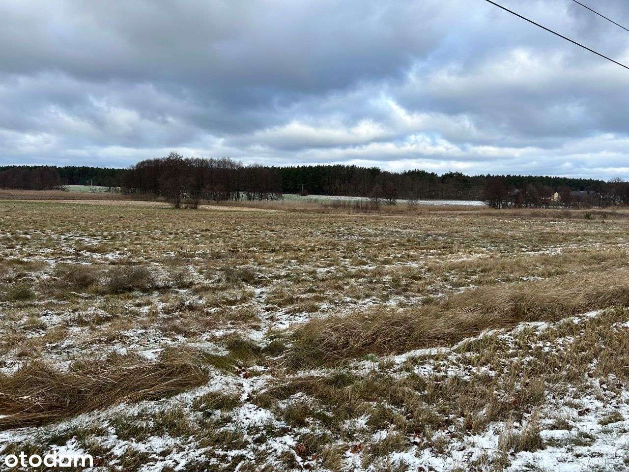 Atrakcyjne działki Kuźnica głogowska obok Sławy - Pełny obrazek: 5/5