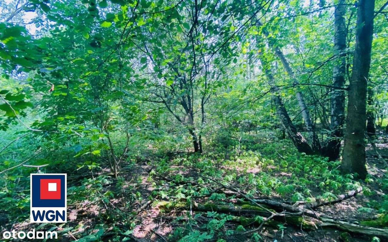 Klimatyczna działka przy lesie Kazimierz Górniczy-14