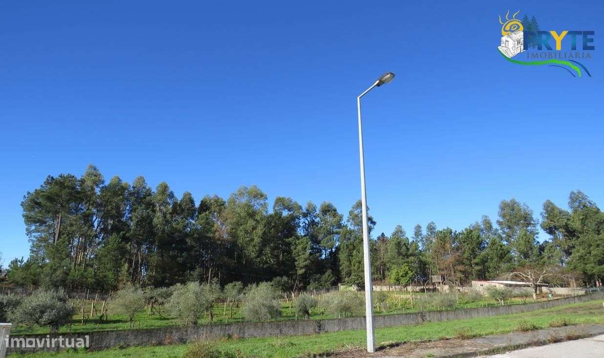 Lote para construção de moradia situado em Cernache do Bonjardim - Grande imagem: 5/5