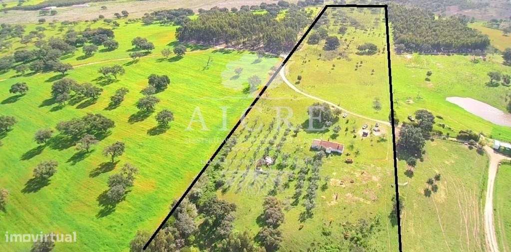 Monte Alentejano com Projeto de Turismo Rural Aprovado – Santiago do C-12