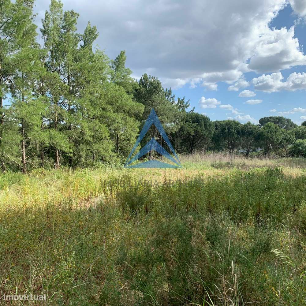 Lote Urbano em Constância - Grande imagem: 5/11