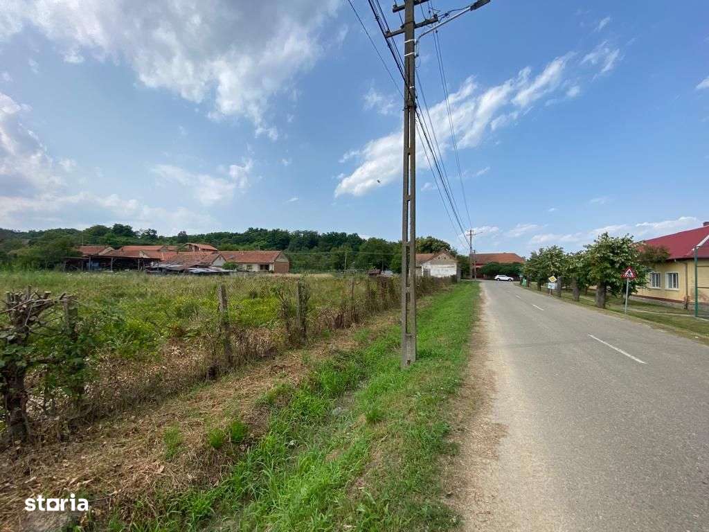 Teren Zgribesti numai 5 euro/mp - Imagine principală: 3/5