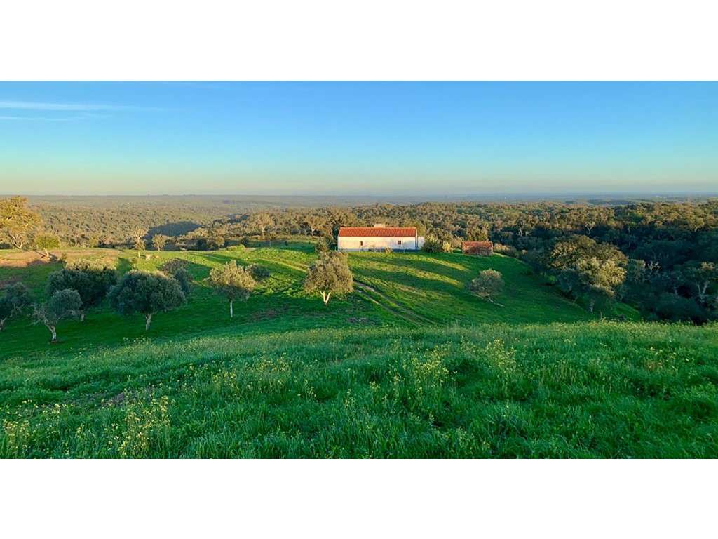 HERDADE, com 41h (3 construções) - Grande imagem: 2/28