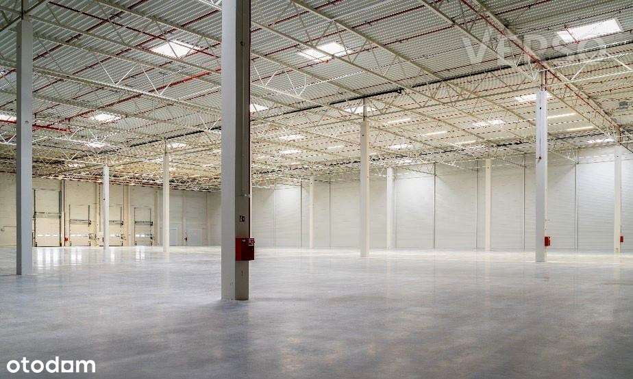Magazyn 5400 mkw. Biuro dowolnej wielkości - Pełny obrazek: 4/8