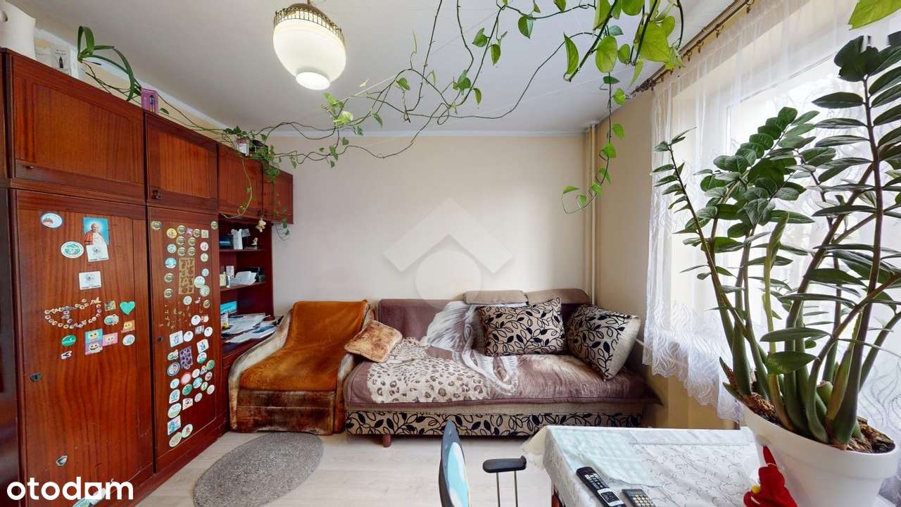 2-pokojowe mieszkanie w zielonej okolicy | do remontu - Pełny obrazek: 2/12