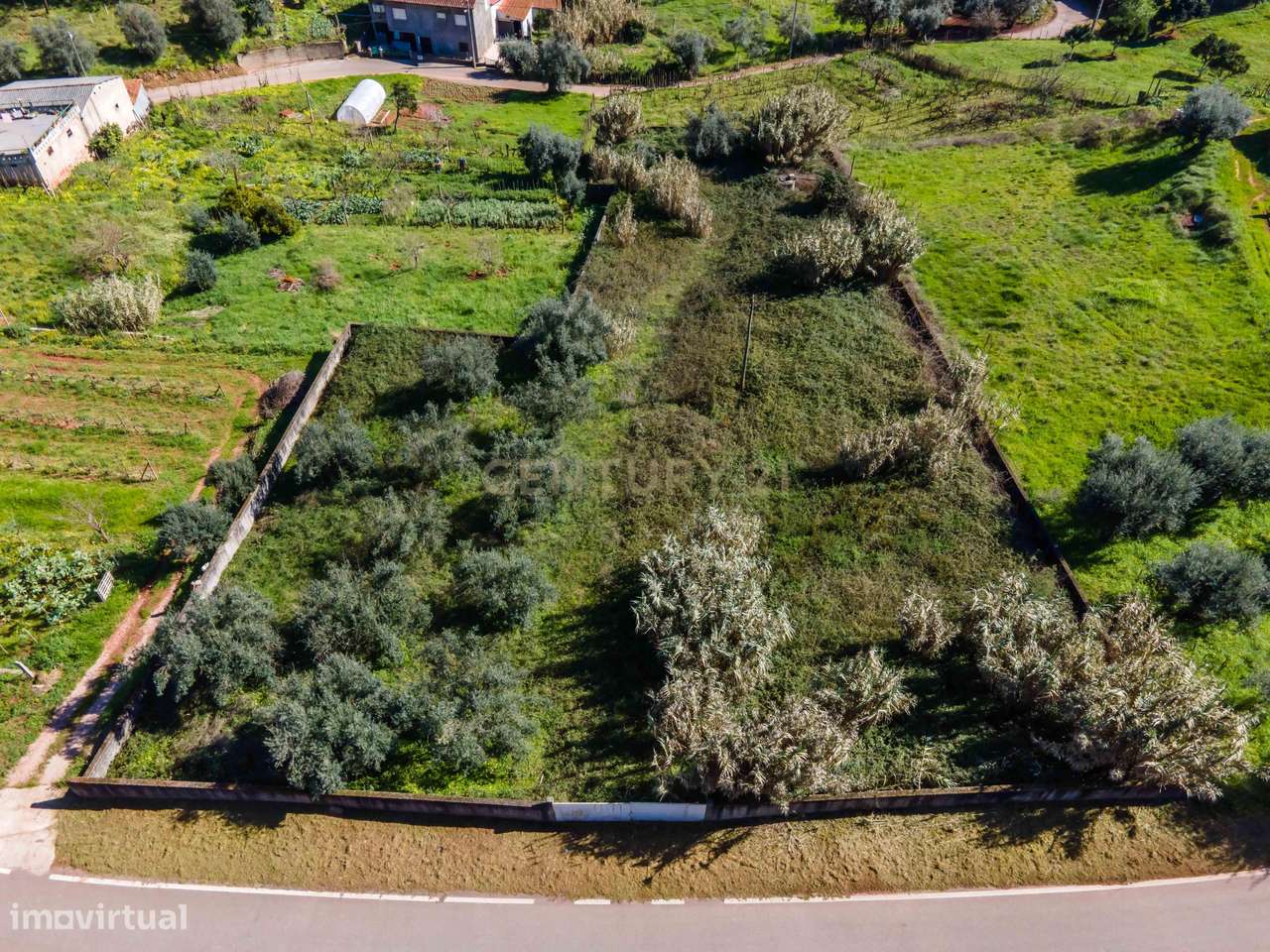 Terreno para Construção | Ceira-11