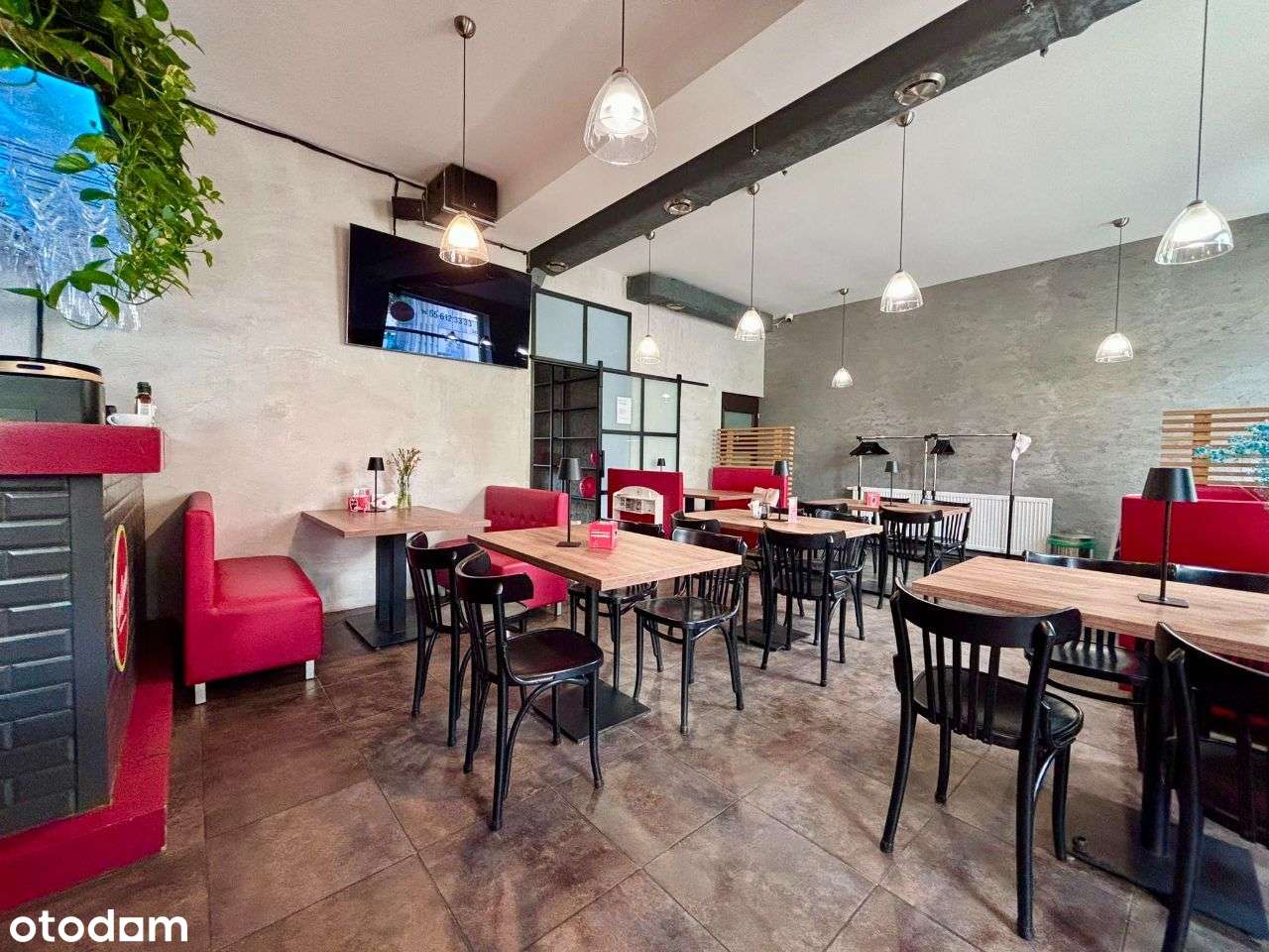 Lokal w centrum ! na parterze - Pełny obrazek: 5/8