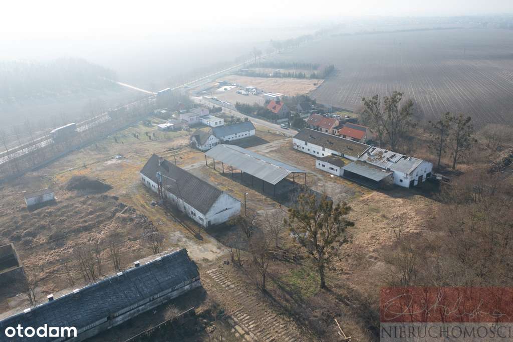 Z potencjałem przy drodze 187 i obwodnicy Szamotuł-3