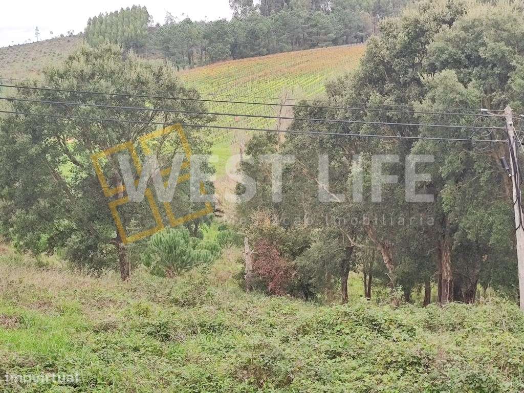 Terreno Urbano com viabilidade de construção, excelente localização... - Grande imagem: 5/11