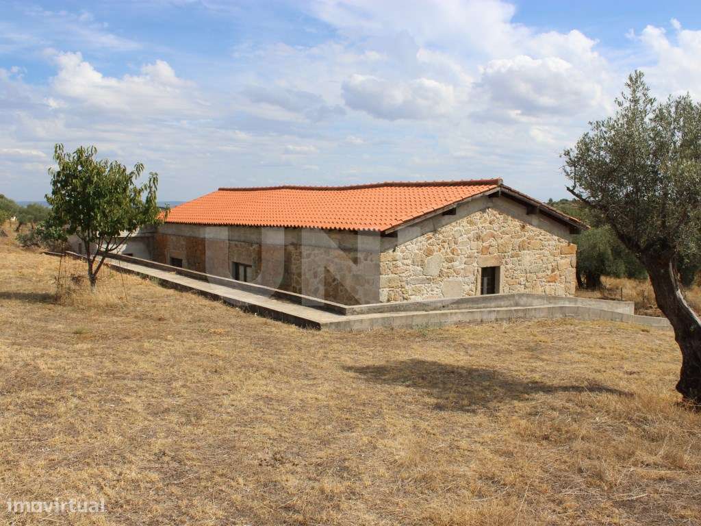 Quinta com 5000m2 para Venda na Mata. - Grande imagem: 4/33