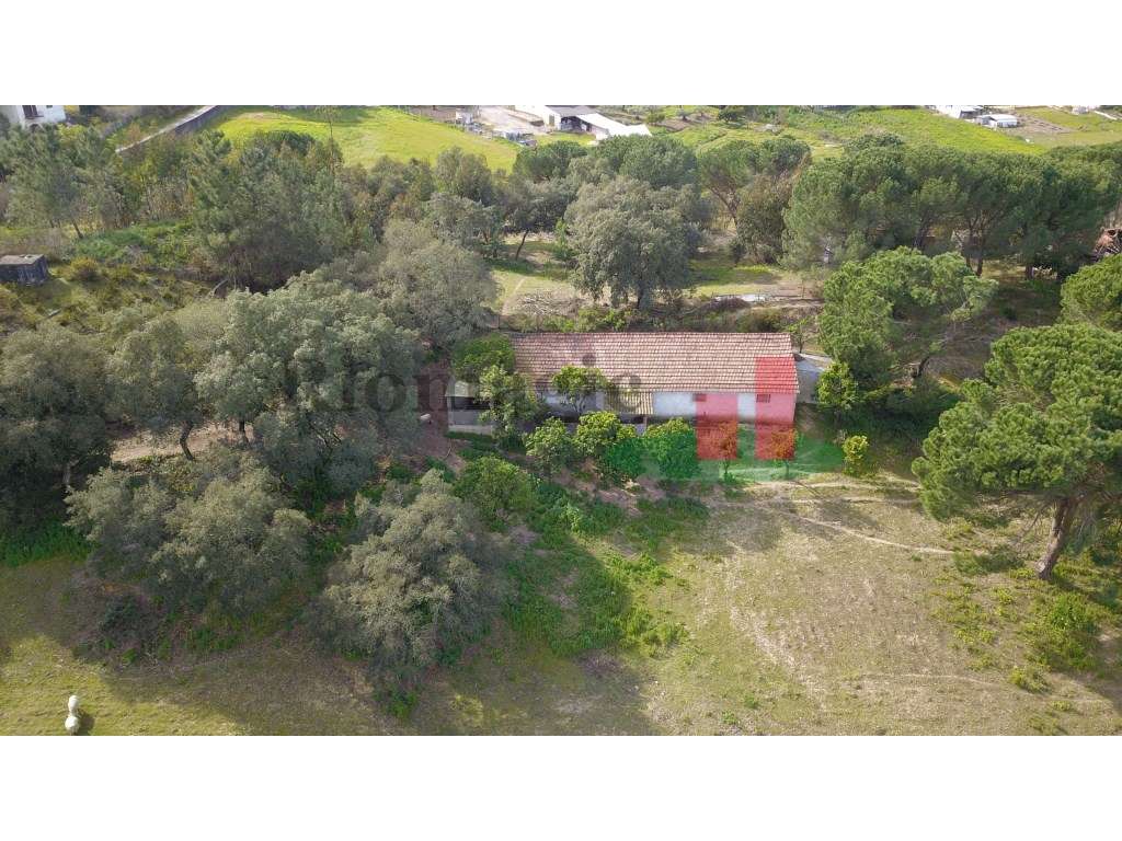 Terreno Misto com Edificação para Arrumos***RIOMAGIC*** - Grande imagem: 3/17