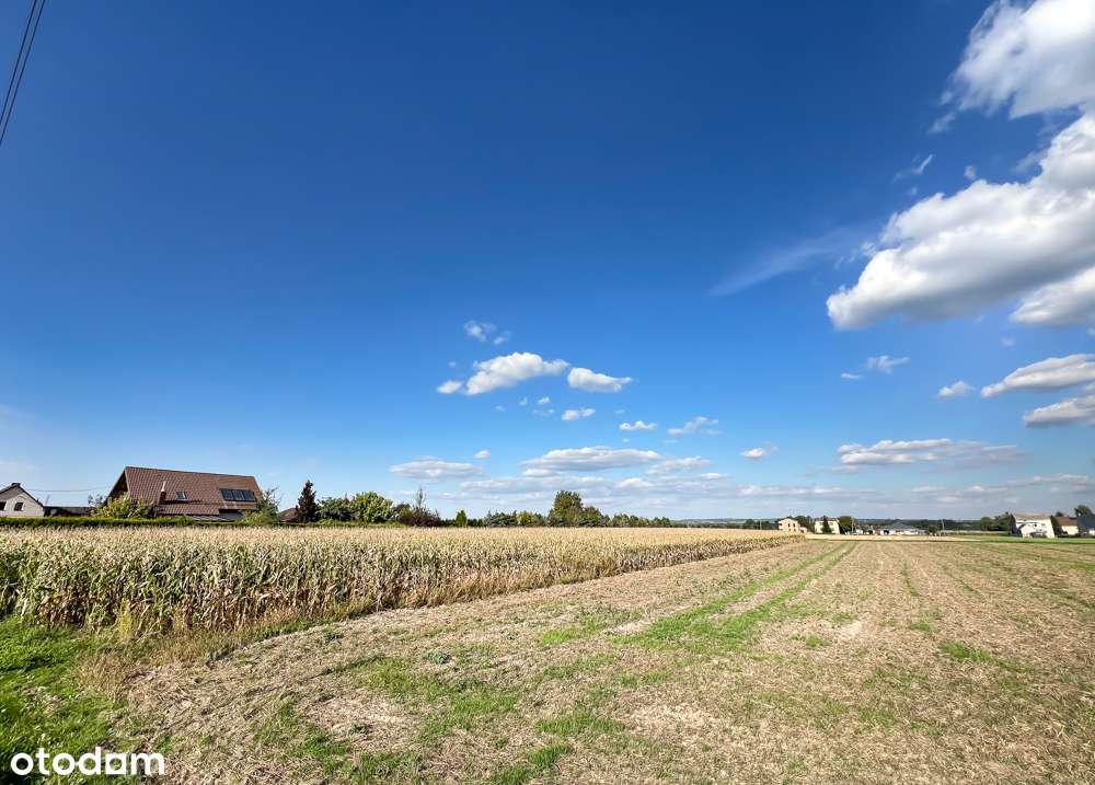 Dla inwestora! 4 działki budowlane, domy z usługami-łączna pow. 4717m2-4