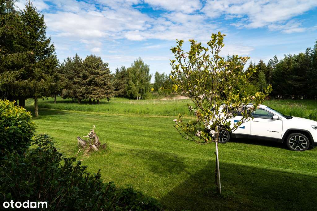 Dom z potencjałem, 1,6 HA ZIEMI + STAW-17