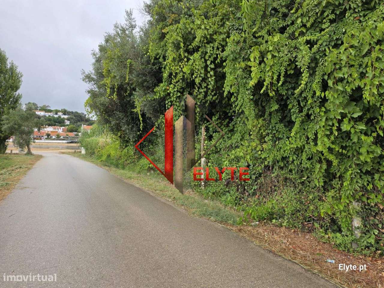 Terreno em Coruche junto ao Rio Sorraia - Grande imagem: 3/36