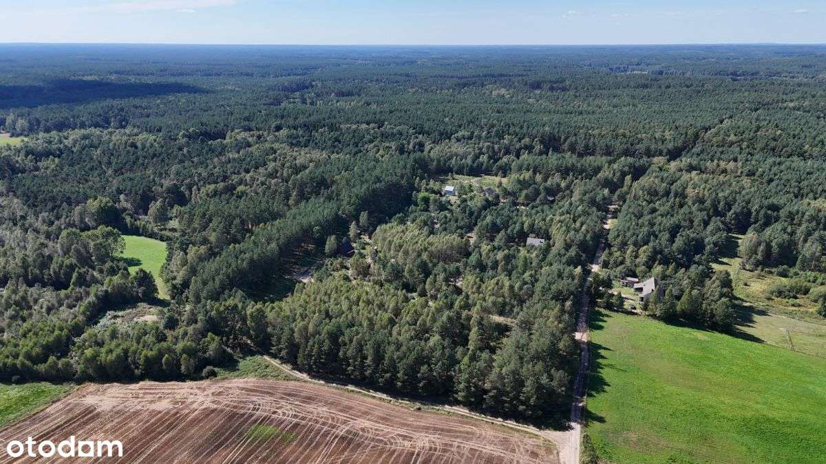 Działka budowlana na skraju lasu, blisko jeziora - Pełny obrazek: 4/9