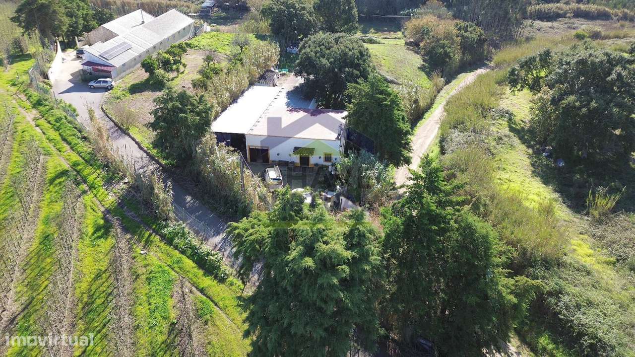 Magnífica Quinta c/ 10.490 m2 Concelho Cadaval-48