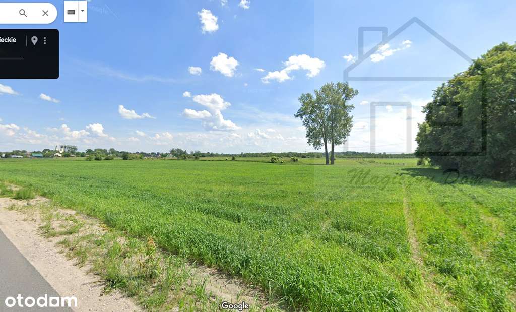 Inwestycyjna Blisko Portu Cpk. Wiskitki - Pełny obrazek: 5/9