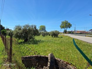 Excelente terreno junto a Rotunda da Jardoeira!