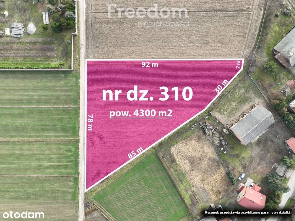 Działka 4300m2 niedaleko Konstancina I mpzp - Pełny obrazek: 4/11