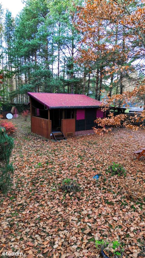 DZIAŁKA BUDOWLANA+LAS |6228 m² | MEDIA W DRODZE | ZALEW PORAJSKI - 3km-13