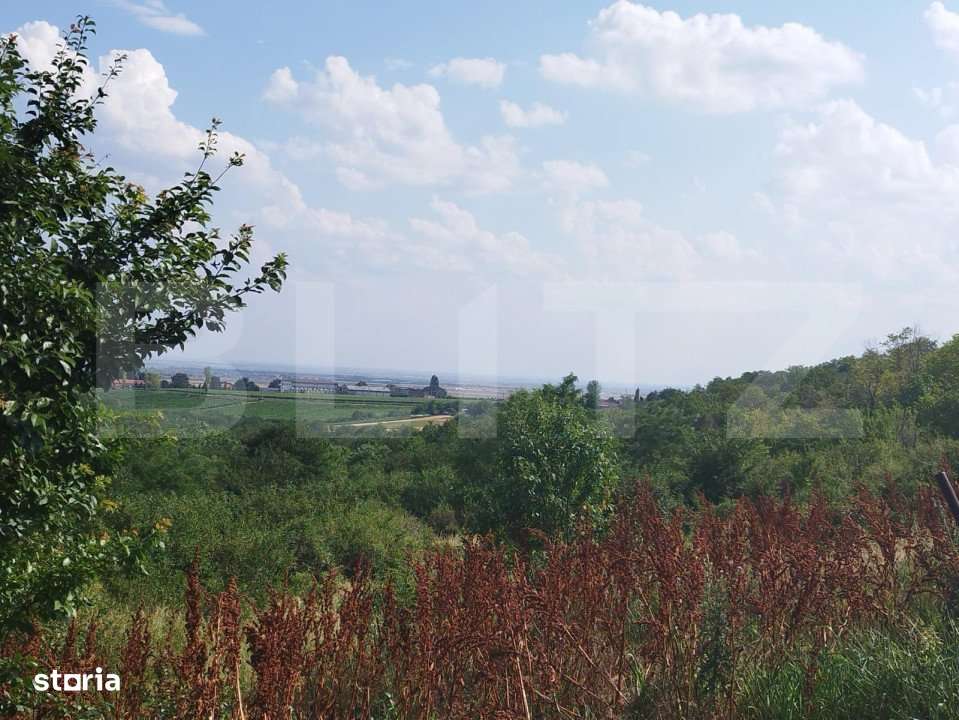 Teren, 3600mp, Drumul Vinului - Imagine principală: 1/7